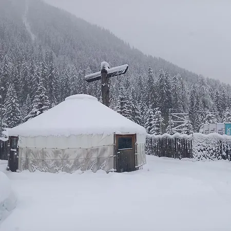 Bed & Breakfast Shima-davos