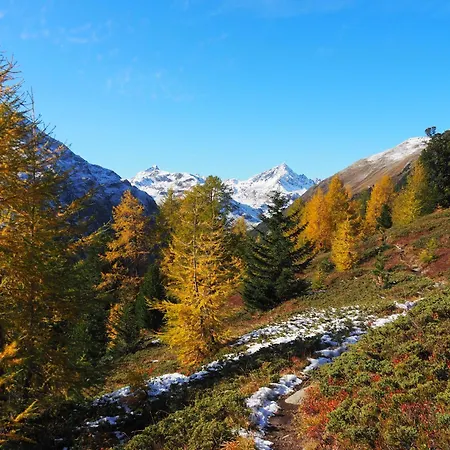 Shima-davos 다보스