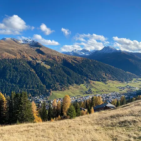 Shima-davos Davos