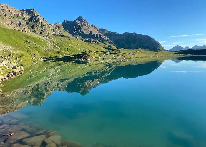 Shima-davos 다보스