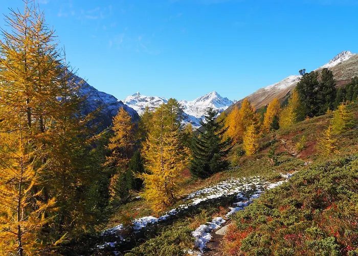 Shima-davos 다보스