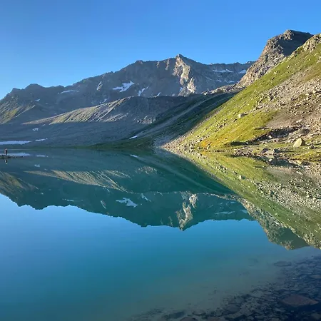 Shima-davos